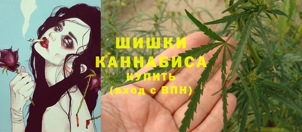 ГАЛЛЮЦИНОГЕННЫЕ ГРИБЫ Балабаново